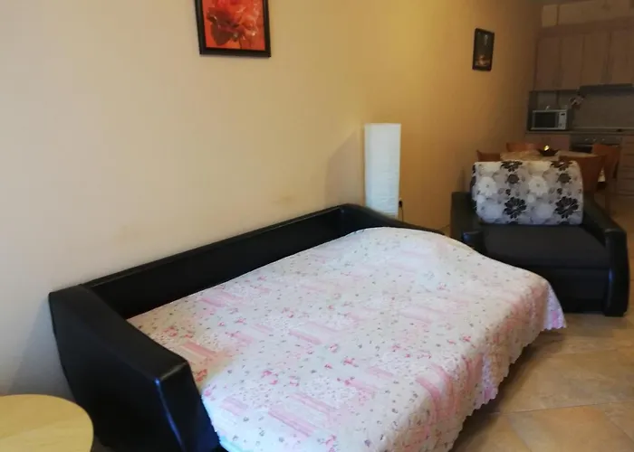 Comfort Zamenhof Varna